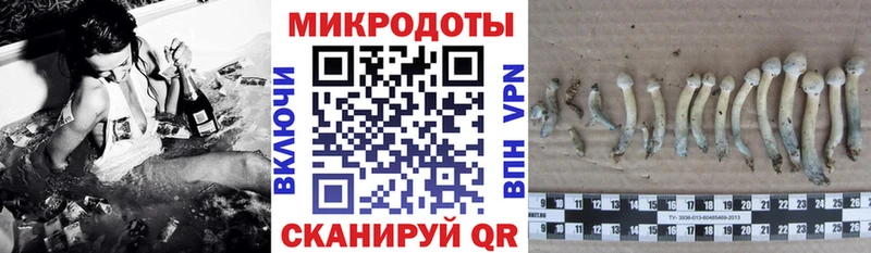 Галлюциногенные грибы мухоморы  сайты даркнета клад  Ленск 